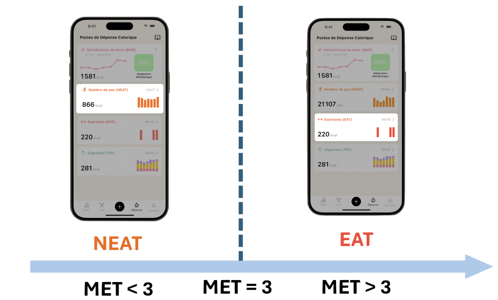 Diagramme expliquant la différence entre NEAT et EAT dans l'application Lean, et comment le MET (Équivalent Métabolique) est utilisé pour classer la dépense calorique.