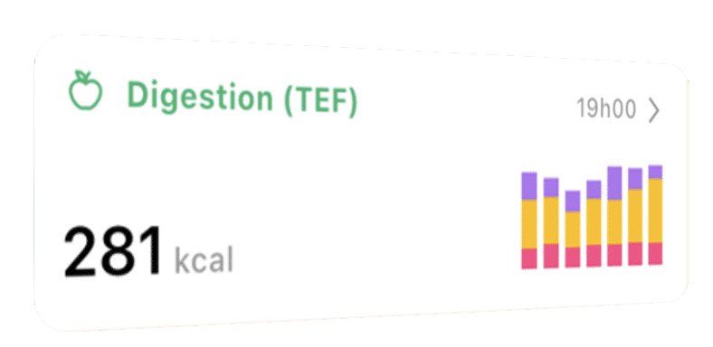 Detail of the tracking for calories burned from digestion (TEF) on the Lean app, showing a total of 281 kcal.