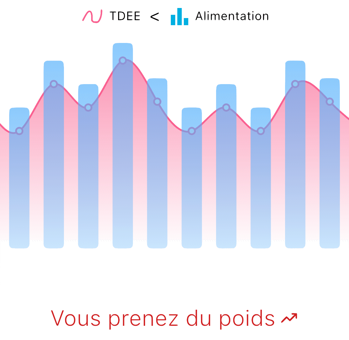Graphique expliquant le surplus calorique pour la prise de poids, montrant que l'apport alimentaire doit être supérieur à la dépense énergétique totale (TDEE).