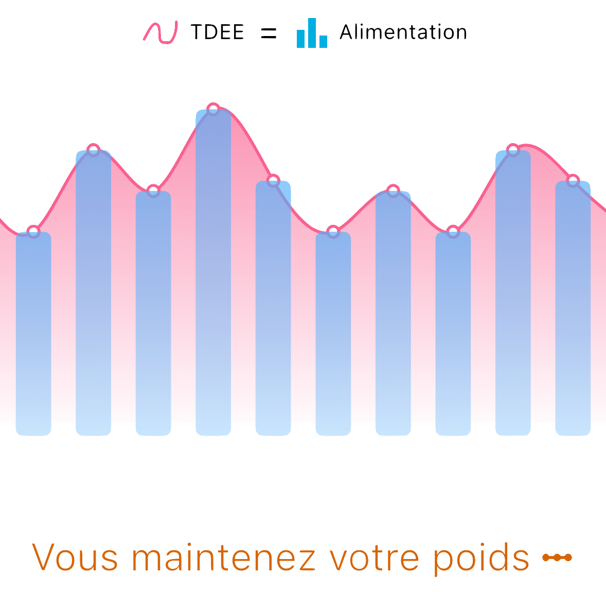 Graphique expliquant la maintenance calorique pour un poids stable, montrant que l'apport alimentaire doit être égal à la dépense énergétique totale (TDEE).