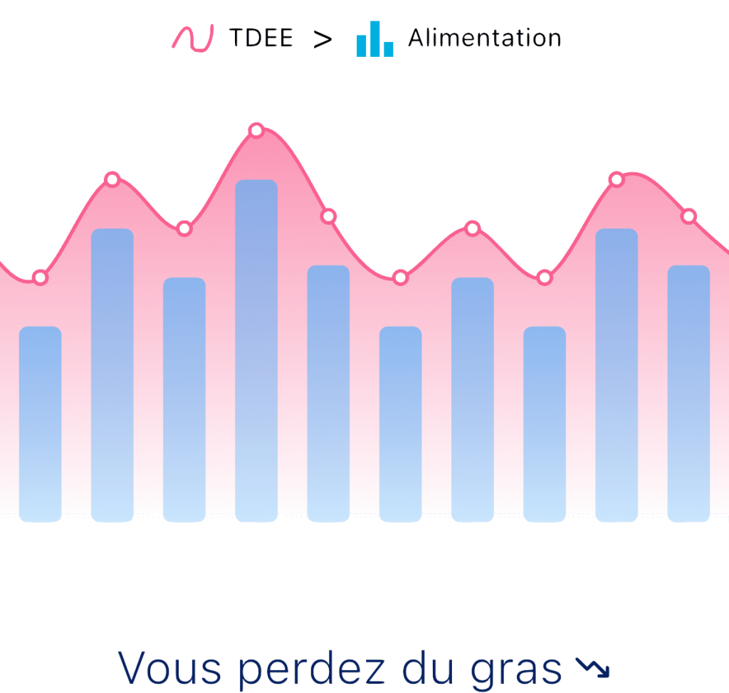 Graphique expliquant le déficit calorique pour la perte de gras, montrant que l'apport alimentaire doit être inférieur à la dépense énergétique totale (TDEE).
