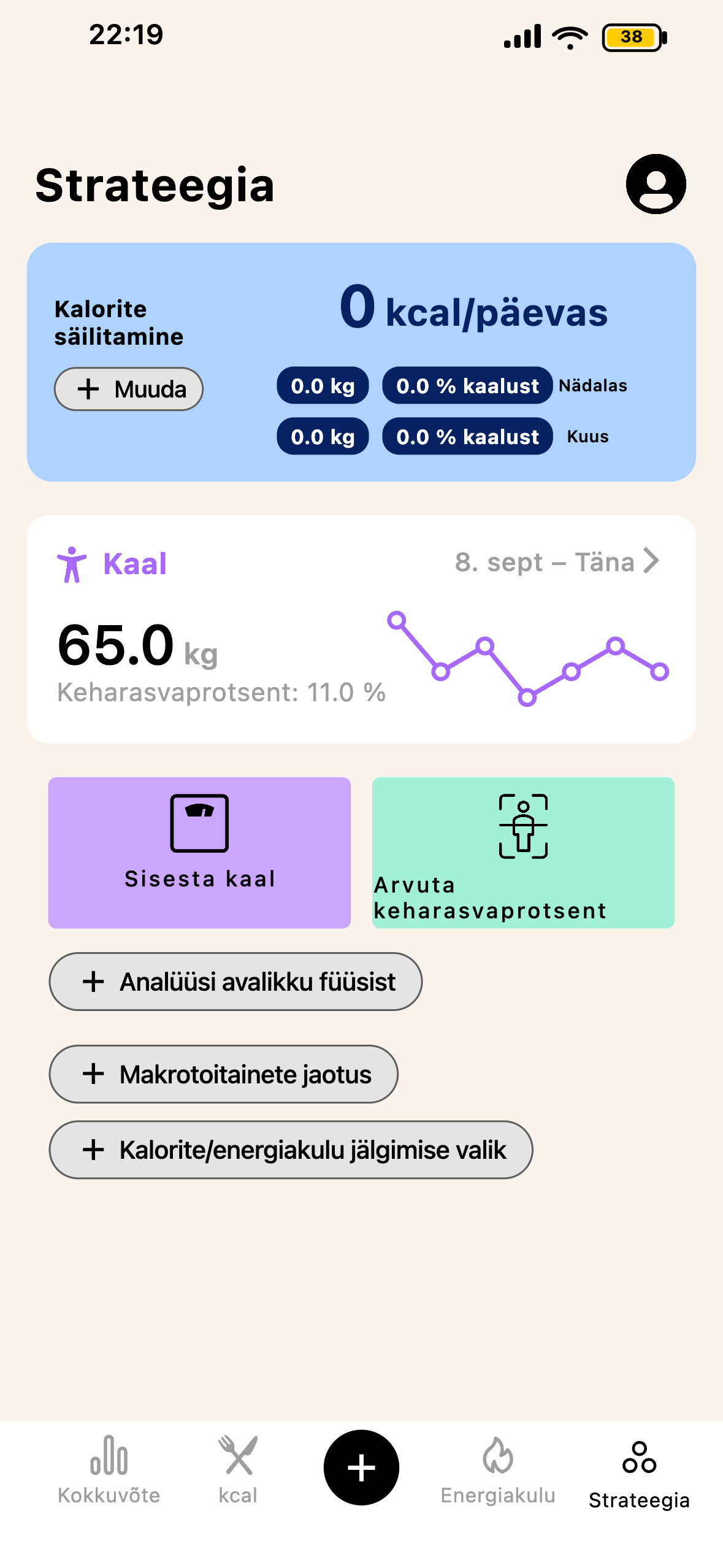 Lean strateegia ja progressipüramiidi ekraan