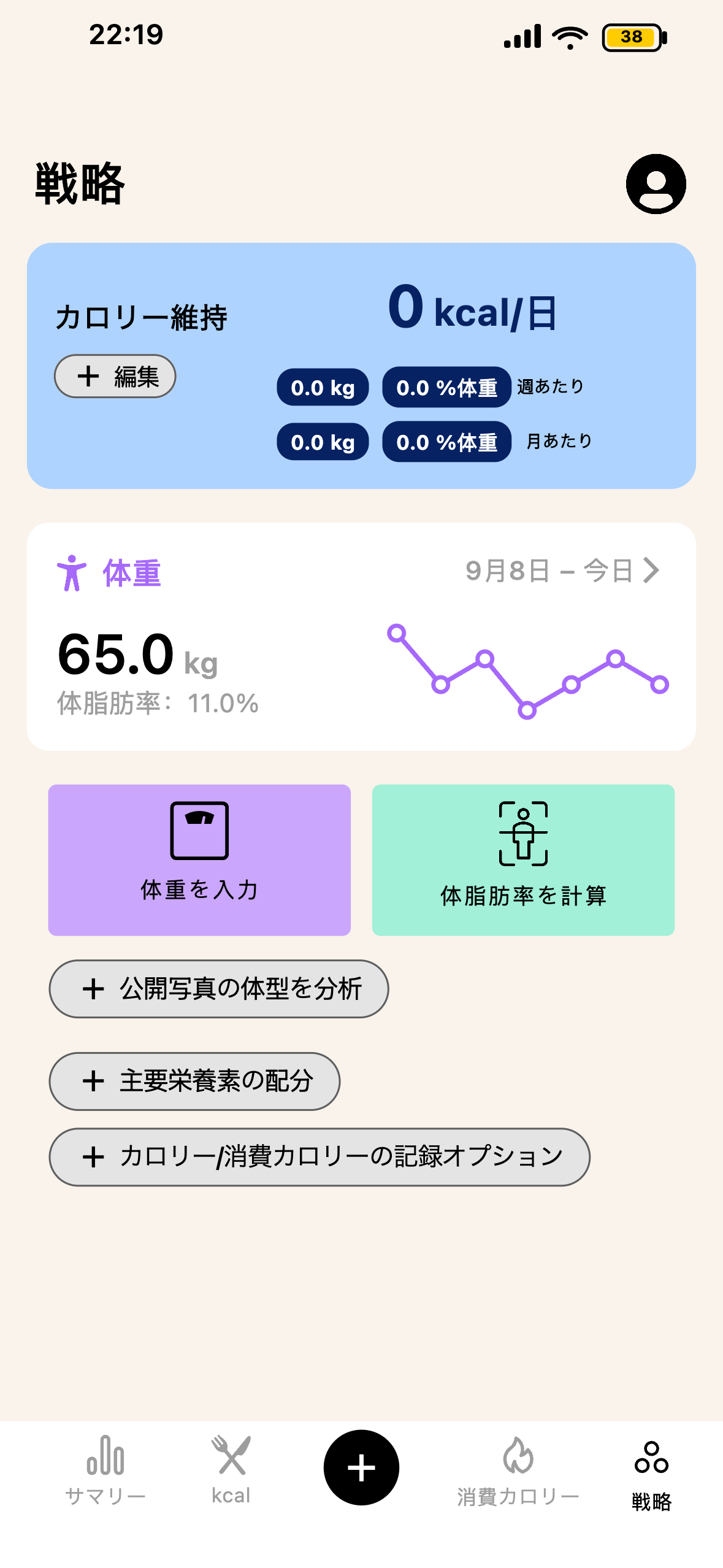 Leanの戦略と進捗ピラミッド画面