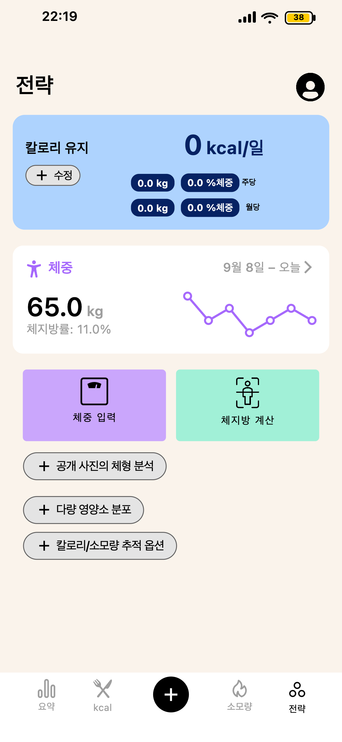 Lean 전략 및 진행 피라미드 화면