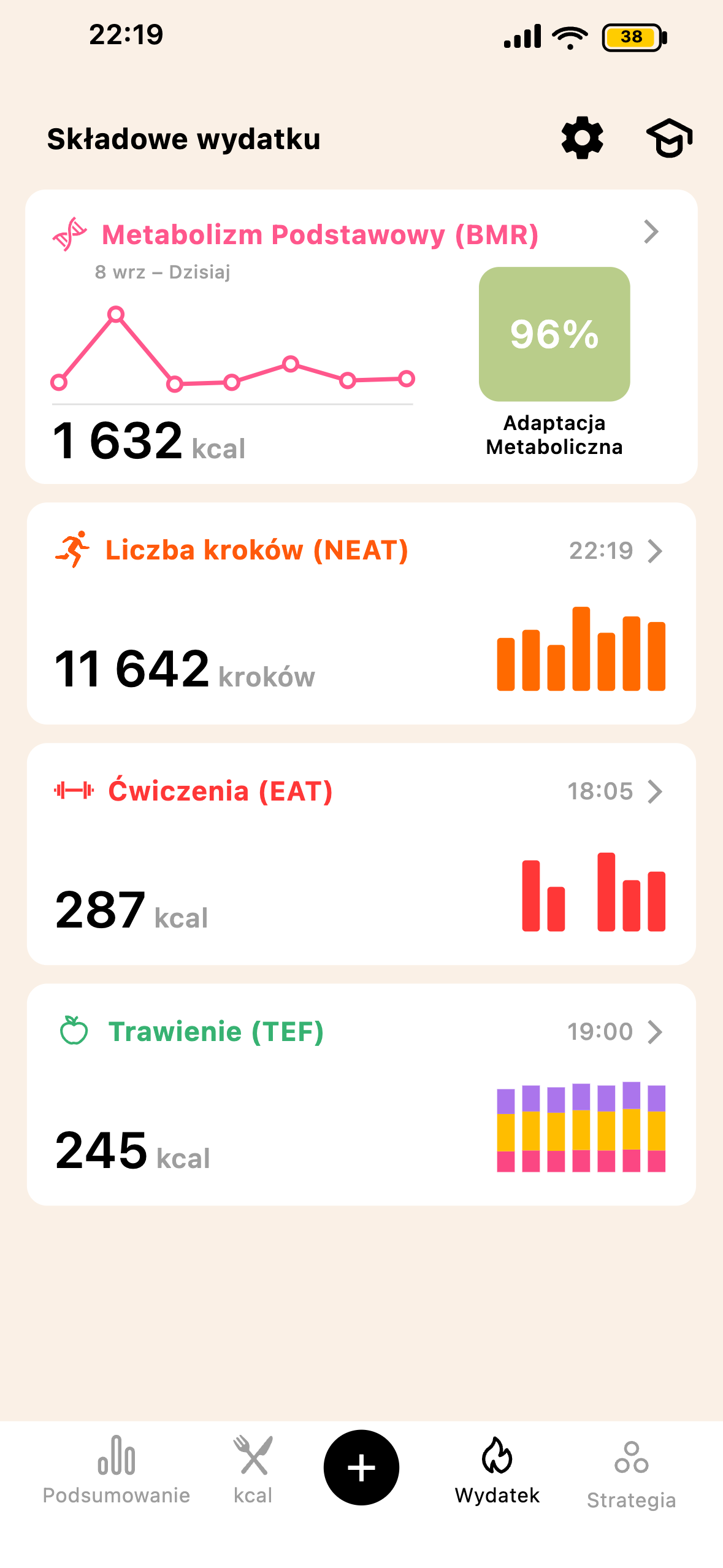 Ekran pełnego wydatku energetycznego Lean