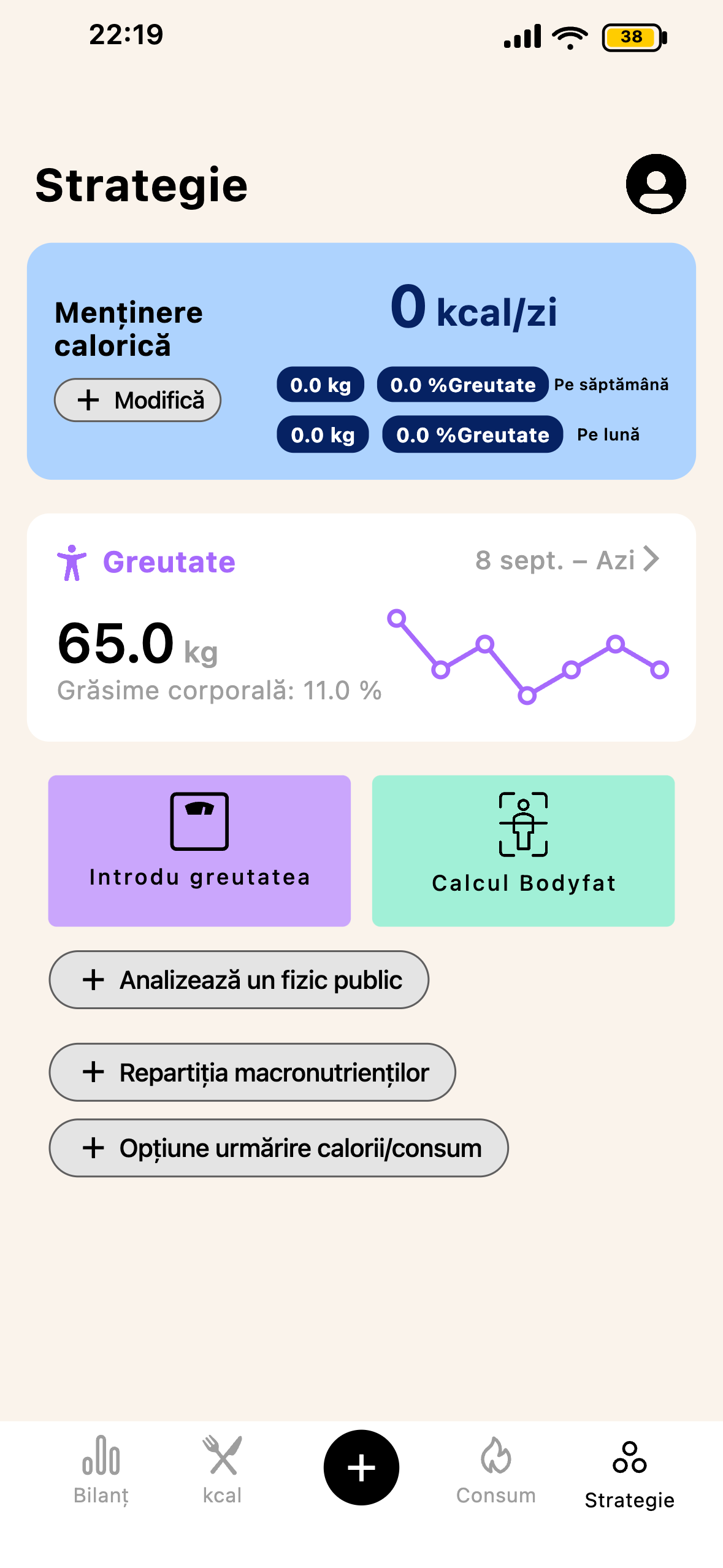 Ecran strategie și piramidă de progres Lean