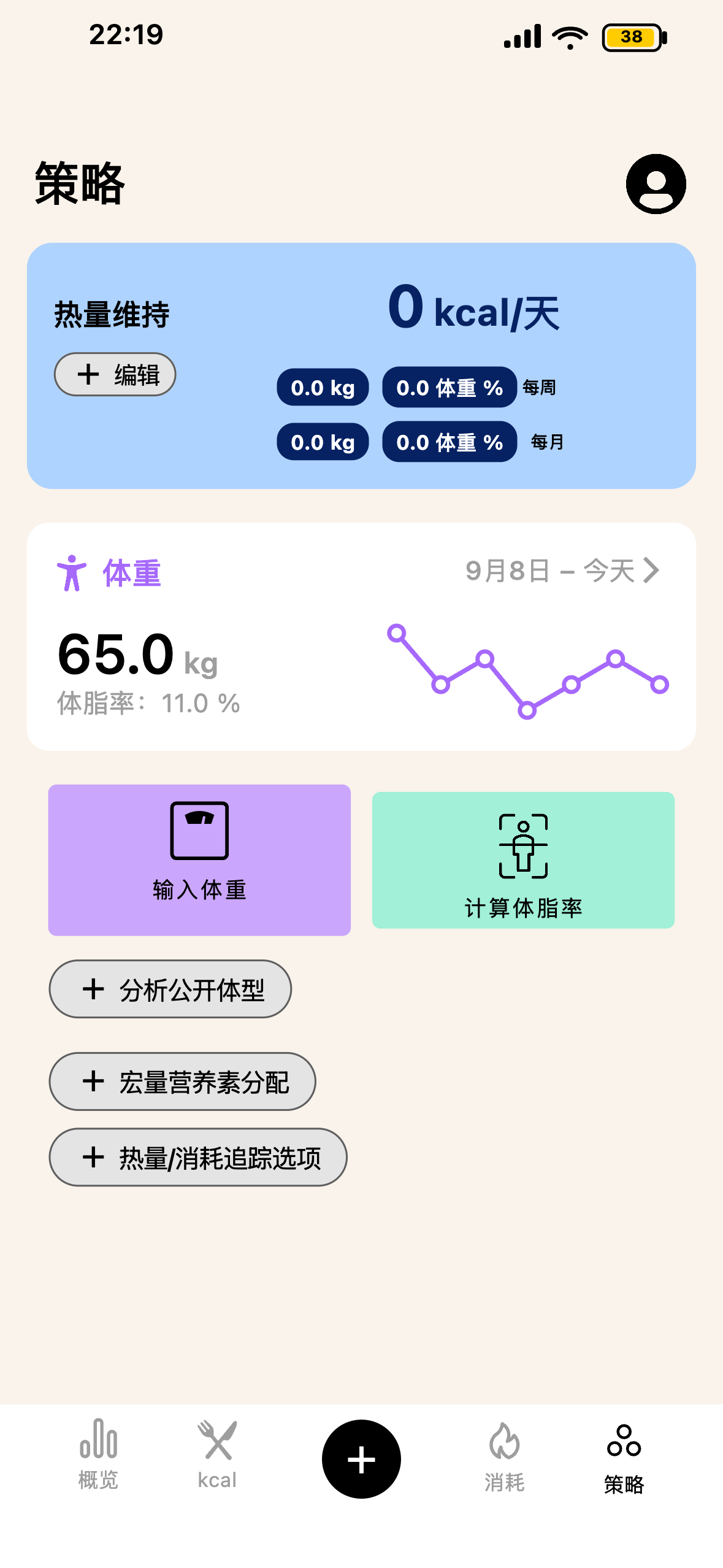 Lean 策略与进阶金字塔界面